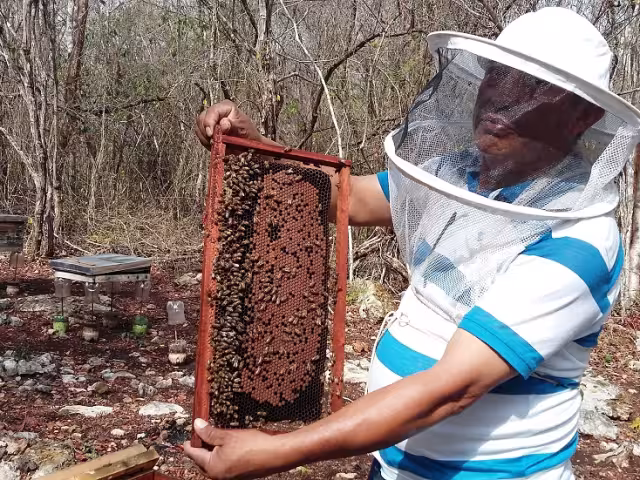 Programa Miel del Bienestar: esperanza contra el abuso de coyotes