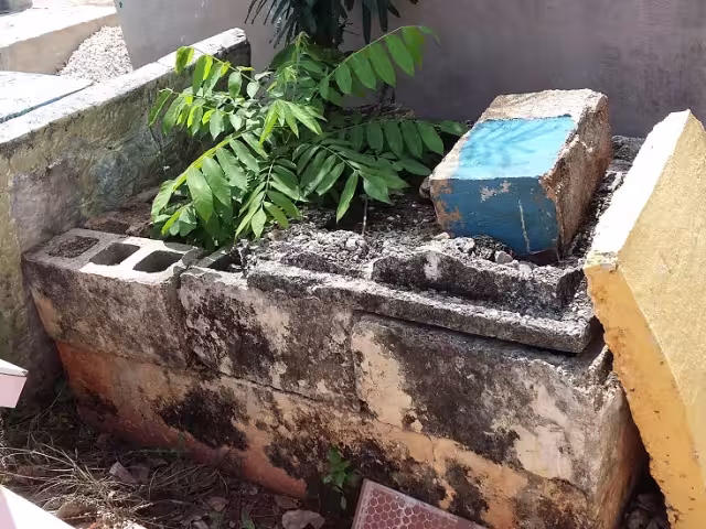 Al menos 35 sepulcros carecen de mantenimiento