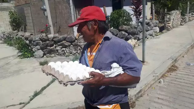 El precio de la reja de huevo en Hopelchén subió de 75 a 90 pesos, un aumento del 20%.