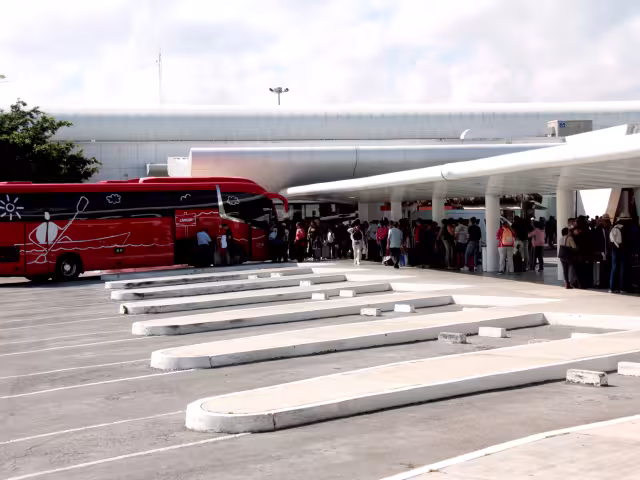 Viajeros nacionales prefirieron hacer largas filas y esperar a abordar la unidad de transporte público para llegar al centro de la ciudad.