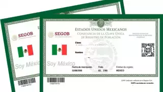 ¿La nueva CURP sustituye a la INE como identificación oficial? Esto sabemos del documento