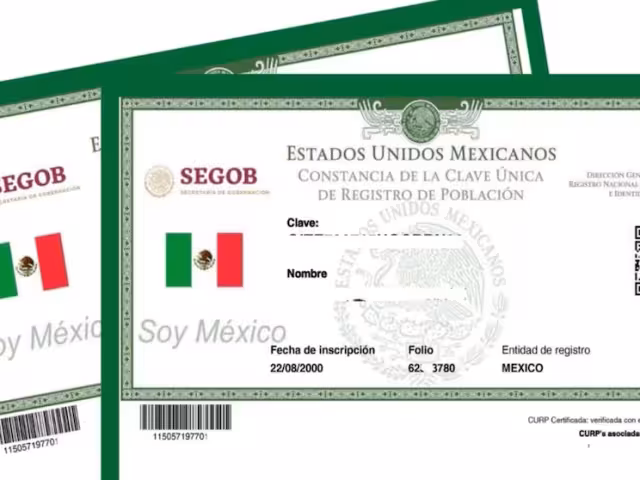 Así puedes tramitar gratis tu CURP certificada por el Registro Civil