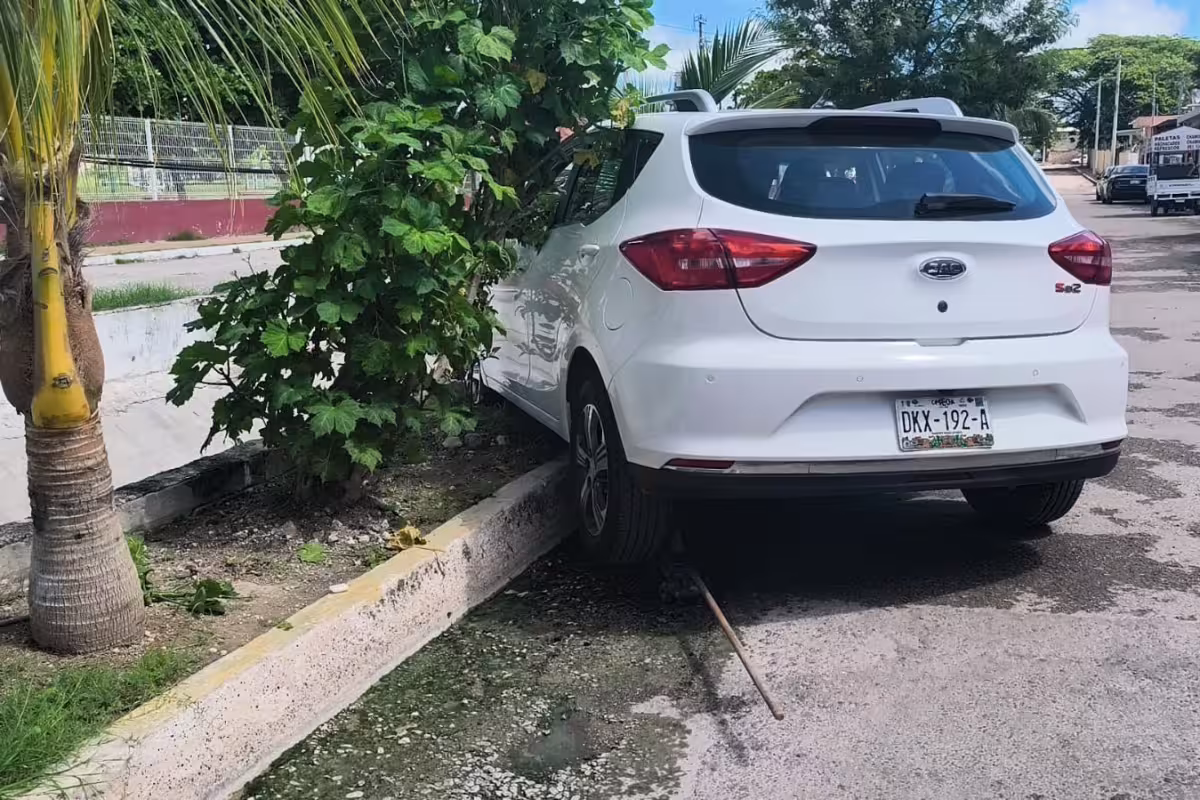 Camioneta sin freno de mano atropella a adulta mayor en Campeche: Quedó ...