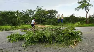 Turbonada derriba árboles en la Escárcega-Villahermosa; ciudadanos limpian la carretera