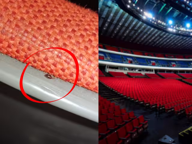 Usuaria de Tiktok mostró la evidencia durante un concierto en el coloso de Reforma