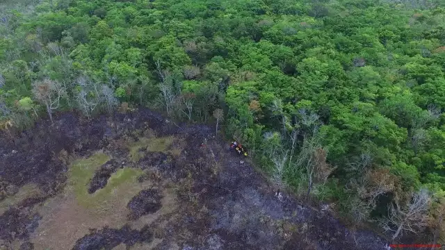 La deforestación de las selvas han alterado el clima, ocasionando sequías cada vez más intensas.