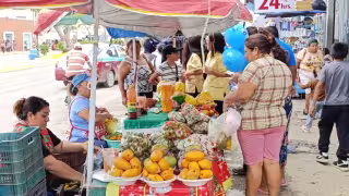 De 800 a 200 pesos: desplome en ventas por clima