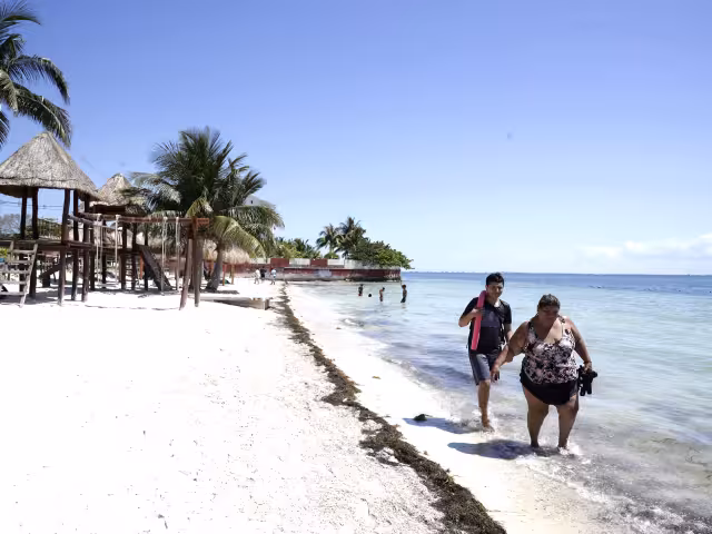 Las playas con alerta son Delfines, Chac-mool, Langosta, Pez volador y Caracol