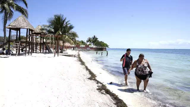 Las playas con alerta son Delfines, Chac-mool, Langosta, Pez volador y Caracol