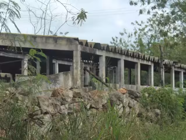 Varias ganjas presentan saturación en fosas sépticas