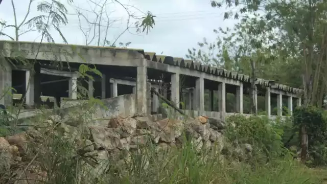 Varias ganjas presentan saturación en fosas sépticas