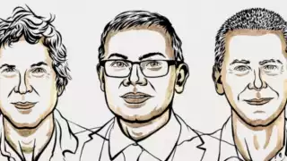 Nobel de Química 2024 quienes revolucionaron la investigación de proteínas