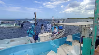 Actividad pesquera se desploma en el Oriente por la combinación de vedas y frentes fríos