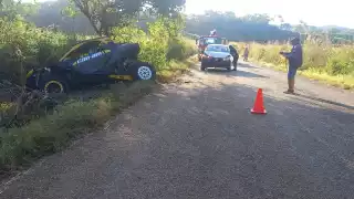 Los ocupantes de un carro deportivo RIZI abandonaron la cinta asfáltica al esquivar un perro rumbo a Kanki