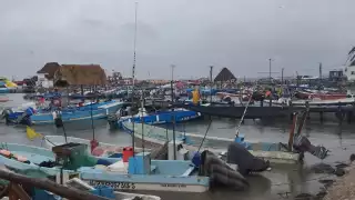 Por sexto día consecutivo, 150 lancheros no han podido ofrecer sus tours por el cierre del puerto