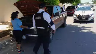 El hecho fue descubierto cuando la dueña intentó arrancarla