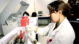 Enfermedades de Transmisión Sexual en Quintana Roo aumentan 16% en 2024 