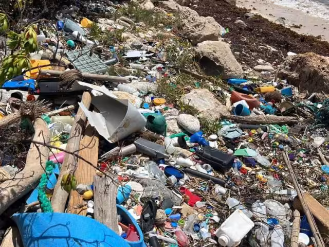 Recale de basura en playas de Mahahual amenaza la salud de las personas y el ecosistema.