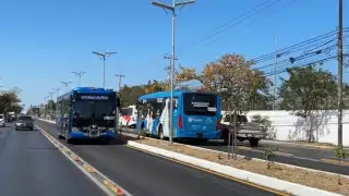 Reubican paraderos de 16 rutas de transporte público en Mérida; conoce las nuevas ubicaciones temporales