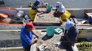 Pescadores de Campeche se arman para luchar contra los asaltos