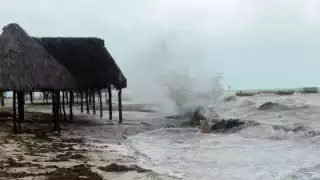 ¿Y si un tsunami llegara a Campeche? Estas serían las zonas más afectadas   