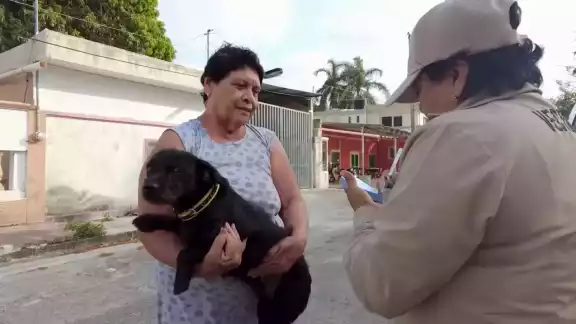 Jornada de vacunación antirrábica llega a municipios de Campeche este 24 de julio Jornada de vacunación antirrábica llega a municipios de Campeche este 24 de julio