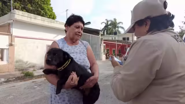 Jornada de vacunación antirrábica llega a municipios de Campeche este 24 de julio