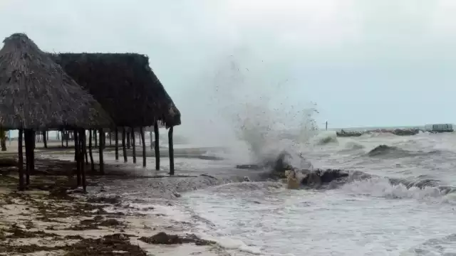 Campeche ante un posible tsunami: ¿qué pasaría si las olas llegaran a nuestras costas?