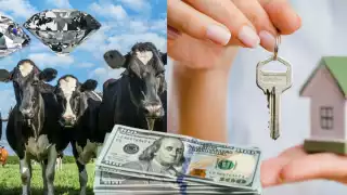 De diamantes a vacas: Los premios más extravagantes para medallistas olímpicos en París 2024
