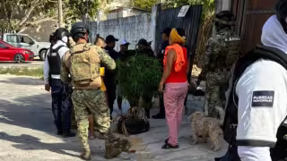 Violencia en Playa del Carmen: vigilante golpeado durante disputa de predio