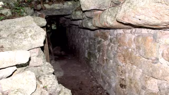 Las iniciativas impulsadas por Pedro y Claudio Cupul Hau, quieren la ayuda gubernamental para concretar el proyecto