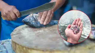 Al menos 800 especies del mar presentaron afectaciones, lo que perjudica la cadena alimenticia y también a las personas, pues también éstos los consumen