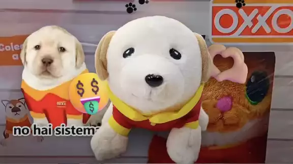 Los peluches se pueden comprar en los oxxos Los peluches se pueden comprar en los oxxos