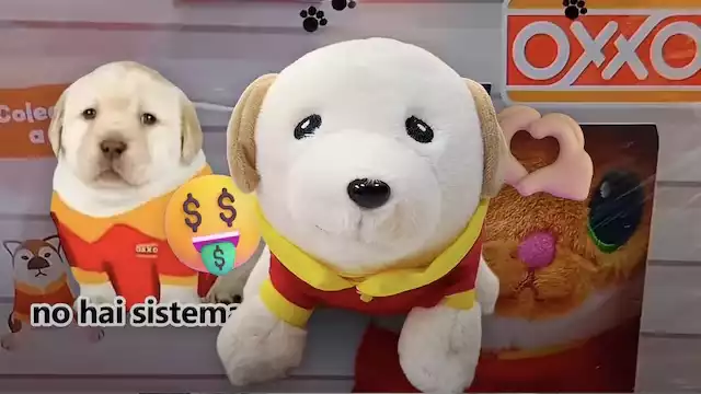 Los peluches se pueden comprar en los oxxos