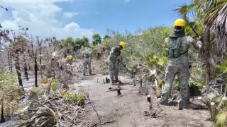 Los combatientes tardaron ocho días en labores; las llamas no daban tregua