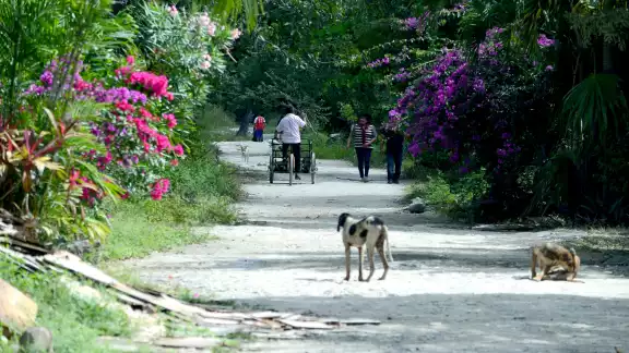 Casas de cartón y calles sin pavimentar “enmarcan” el principal destino turístico de México; en éstas vive la tercera parte de la población Casas de cartón y calles sin pavimentar “enmarcan” el principal destino turístico de México; en éstas vive la tercera parte de la población