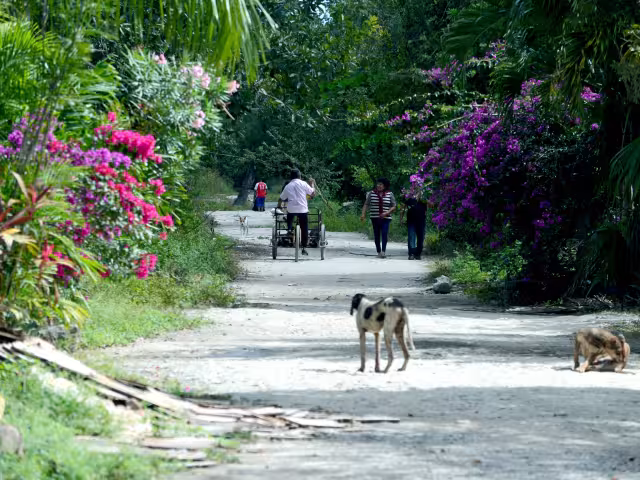Casas de cartón y calles sin pavimentar “enmarcan” el principal destino turístico de México; en éstas vive la tercera parte de la población