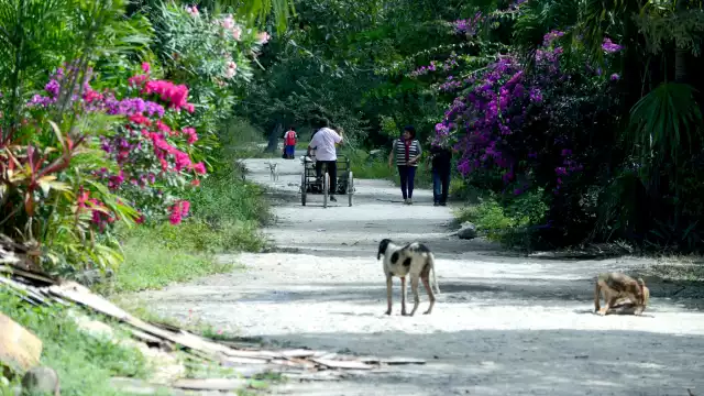 Casas de cartón y calles sin pavimentar “enmarcan” el principal destino turístico de México; en éstas vive la tercera parte de la población