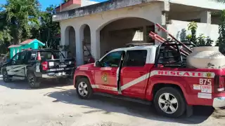 Bomberos rescatan a una perrita luego de caer a un pozo en Tizimín