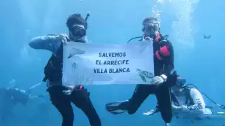 Semarnat anuncia revisión al proyecto del cuarto muelle de Cozumel