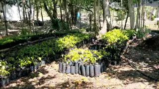 Esta temporada de escasez del líquido podría ver mermada la obtención de frutas como sandía, melón y vegetales