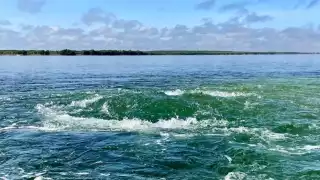   Xbuya Há, el ojo de agua dulce más grande de Yucatán que se encuentra  oculto en medio del mar   