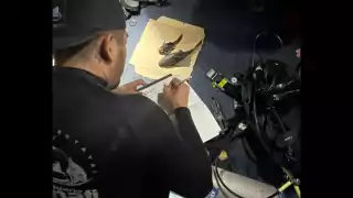 ¡Regresan los peces  diablo! Encuentran dos más en la Laguna de Bacalar