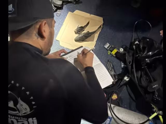 Expertos reportaron el hallazgo de dos ejemplares más en la famosa laguna