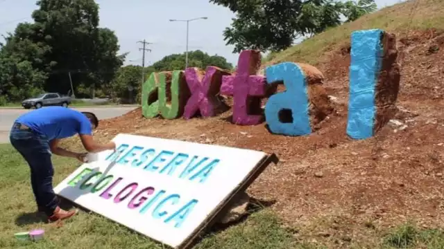 La Reserva Cuxtal es considerada como el gran pulmón de la ciudad de Mérida.