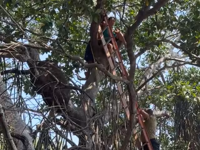 Protección Civil acudió al lugar y logró bajarla sin lesiones ni complicaciones.