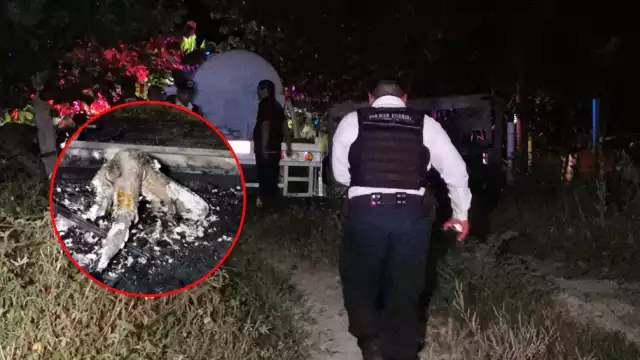 Encontraron un cuerpo calcinado boca abajo, causando gran susto