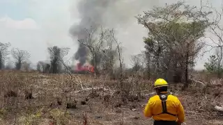 Quemas  agropecuarias    contribuyen al cambio climático:  Desarrollo Agropecuario     Campeche    