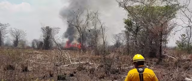 Es una práctica que debe prohibirse y buscar alternativas menos dañinas, afirman.