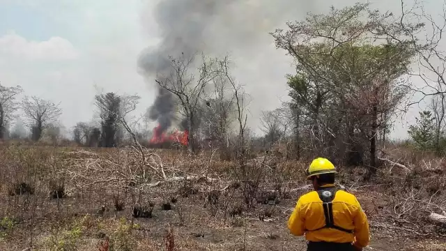 Es una práctica que debe prohibirse y buscar alternativas menos dañinas, afirman.